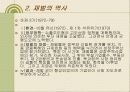 한국재벌의 정의 및 특징과 실태 조사분석 8페이지