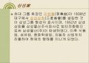 한국재벌의 정의 및 특징과 실태 조사분석 13페이지