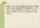 한국재벌의 정의 및 특징과 실태 조사분석 48페이지