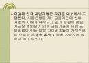 한국재벌의 정의 및 특징과 실태 조사분석 58페이지