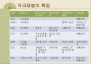 한국재벌의 정의 및 특징과 실태 조사분석 65페이지