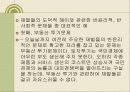 한국재벌의 정의 및 특징과 실태 조사분석 84페이지