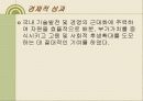 한국재벌의 정의 및 특징과 실태 조사분석 88페이지