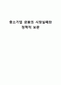 중소기업 금융의 실패와 정책적 보완 1페이지