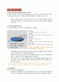 메이플스토리 성공요인 1페이지