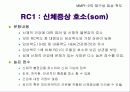 다면적 인성검사 MMPI-2 50페이지