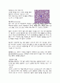 -혈액형 확인&혈구 관찰 9페이지