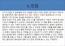 크로스 마켓 감상문 및 느낀점 분석 9페이지