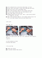 신체부위별 운동방법 27페이지