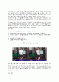 보디빌딩_레포트 12페이지
