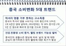 중국 소 황제 소비시대의 다양성과 마케팅 전략 13페이지