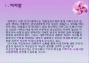 여성빈곤의 구조적 요인과 빈곤의 여성화 3페이지