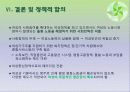 여성빈곤의 구조적 요인과 빈곤의 여성화 11페이지