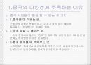 중국의 다양한 격차 2페이지
