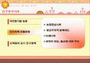 중국의 인구정책 7페이지
