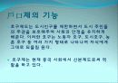 중국의 후커우(戶口)제도 16페이지