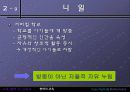 [교육학] 신인문주의와 교육 19페이지