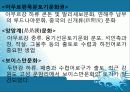 동아시아 신석기 문화 - 한반도의 신석기시대 29페이지