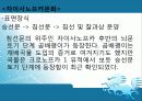 동아시아 신석기 문화 - 한반도의 신석기시대 33페이지