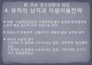 신석기 시대의 유적과 유물 - Ⅲ. 주요 연구경향과 쟁점, Ⅳ. 유적과 유물 12페이지