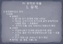 신석기 시대의 유적과 유물 - Ⅲ. 주요 연구경향과 쟁점, Ⅳ. 유적과 유물 20페이지