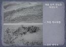 신석기 시대의 유적과 유물 - Ⅲ. 주요 연구경향과 쟁점, Ⅳ. 유적과 유물 21페이지