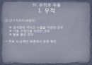 신석기 시대의 유적과 유물 - Ⅲ. 주요 연구경향과 쟁점, Ⅳ. 유적과 유물 22페이지