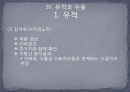 신석기 시대의 유적과 유물 - Ⅲ. 주요 연구경향과 쟁점, Ⅳ. 유적과 유물 23페이지