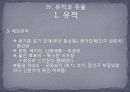 신석기 시대의 유적과 유물 - Ⅲ. 주요 연구경향과 쟁점, Ⅳ. 유적과 유물 24페이지