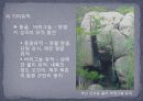 신석기 시대의 유적과 유물 - Ⅲ. 주요 연구경향과 쟁점, Ⅳ. 유적과 유물 27페이지