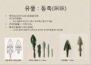한국의 청동기문화 15페이지