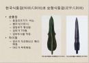 한국의 청동기문화 25페이지