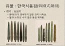 한국의 청동기문화 29페이지
