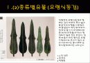 한국의 청동기 문화의 발달 11페이지