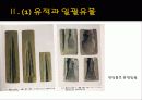 한국의 청동기 문화의 발달 27페이지