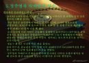 정주영의 CEO 리더십 9페이지