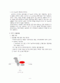 LG휴대폰 중국시장 전략 6페이지