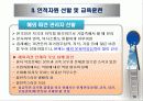 글로벌 경영과 인적자원관리 12페이지