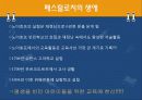 페스탈로치 (교육방법,교육론,생애,생애, 현대적 의의) 3페이지