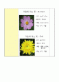 게임 대근육 모의수업 교육 활동 계획안, 주제는 가을의 대표적인 꽃 (유아언어교육 연계) 4페이지