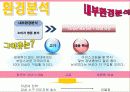 배스킨 라빈스 마케팅전략/ 아이스크림 시장 현황/ 소비자 행동 분석/ 자사분석/ 마케팅목표 및 전략/ 시장환경분석/ 산업환경분석/ 광고분석/ PLC분석/ STP전략/ 4p분석/ SWOT분석 18페이지