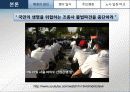 대한항공 조종사 노조쟁의, 대한항공 노사분규(외국인 불법파견)   11페이지