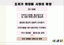 초저가 화장품 시장 (현황, 마케팅, 경영 사례) 3페이지