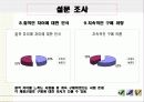 초저가 화장품 시장 (현황, 마케팅, 경영 사례) 28페이지