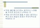 방어기제 유형 7페이지