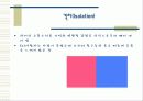 방어기제 유형 29페이지
