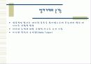 방어기제 유형 30페이지
