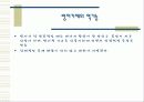 방어기제 유형 31페이지