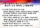 영유아 아동 인지 발달 이론과 기독교 관점 17페이지