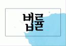 [법제] 제2장 사회복지법의 등장과 전개, 제3장 사회복지법의 법원 54페이지